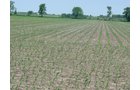 Tract 2 - 371 Acres Offered in 9 Tracts