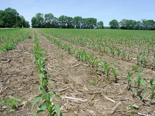 Tract 1 - 371 Acres Offered in 9 Tracts