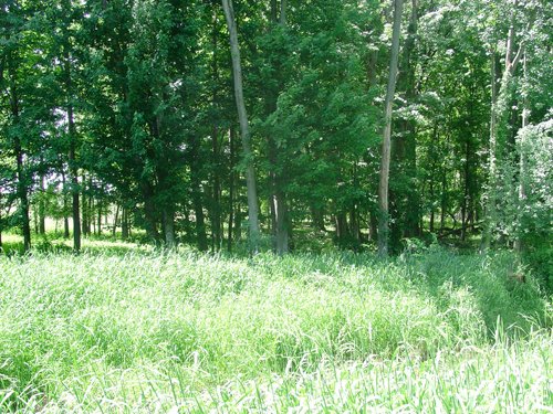 Tract 9 - 371 Acres Offered in 9 Tracts