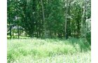 Tract 9 - 371 Acres Offered in 9 Tracts