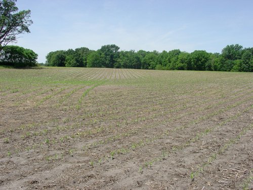 Tract 9 - 371 Acres Offered in 9 Tracts