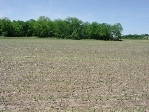 Property photo 30 - 371 Acres Offered in 9 Tracts
