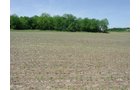 Property photo 30 - 371 Acres Offered in 9 Tracts