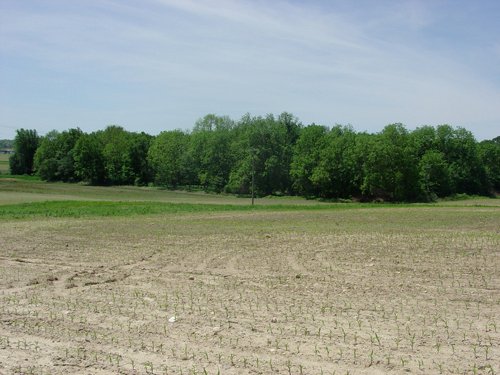 Property photo 31 - 371 Acres Offered in 9 Tracts