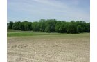Property photo 31 - 371 Acres Offered in 9 Tracts