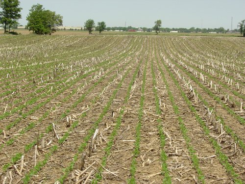 Tract 4 - 371 Acres Offered in 9 Tracts