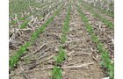 Tract 3 - 371 Acres Offered in 9 Tracts