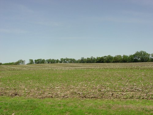 Tract 7 - 371 Acres Offered in 9 Tracts