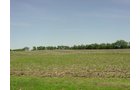Tract 7 - 371 Acres Offered in 9 Tracts