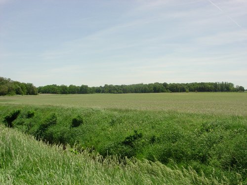 Tract 5 - 371 Acres Offered in 9 Tracts