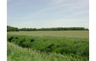 Tract 5 - 371 Acres Offered in 9 Tracts