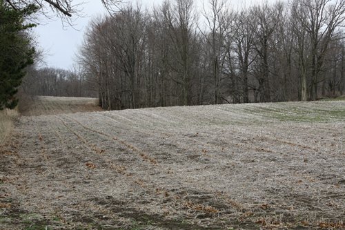 Property photo 15 - 80 Acres Offered in 7 Tracts