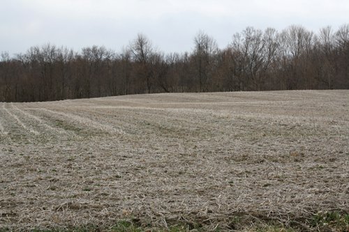 Property photo 3 - 80 Acres Offered in 7 Tracts