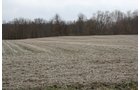 Property photo 3 - 80 Acres Offered in 7 Tracts