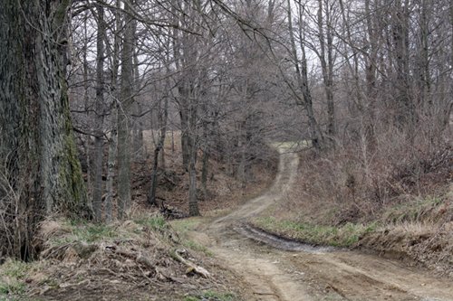 Property photo 4 - 80 Acres Offered in 7 Tracts