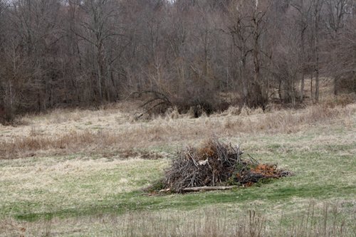 Property photo 8 - 80 Acres Offered in 7 Tracts