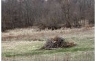 Property photo 8 - 80 Acres Offered in 7 Tracts