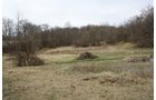 Property photo 9 - 80 Acres Offered in 7 Tracts