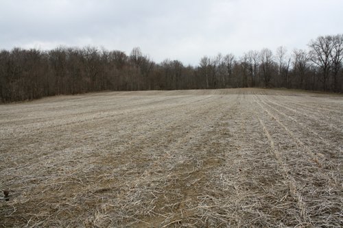 Property photo 11 - 80 Acres Offered in 7 Tracts