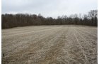 Property photo 11 - 80 Acres Offered in 7 Tracts