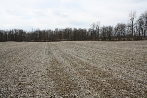 Property photo 16 - 80 Acres Offered in 7 Tracts