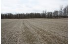 Property photo 16 - 80 Acres Offered in 7 Tracts