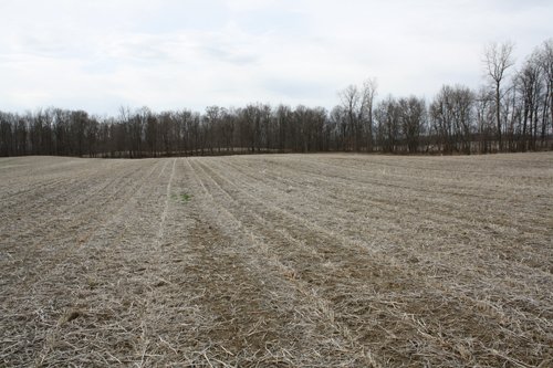 Property photo 13 - 80 Acres Offered in 7 Tracts