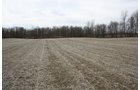 Property photo 13 - 80 Acres Offered in 7 Tracts