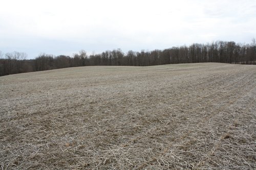 Property photo 2 - 80 Acres Offered in 7 Tracts