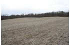 Property photo 2 - 80 Acres Offered in 7 Tracts