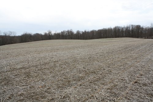 Property photo 5 - 80 Acres Offered in 7 Tracts