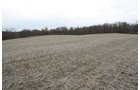 Property photo 5 - 80 Acres Offered in 7 Tracts