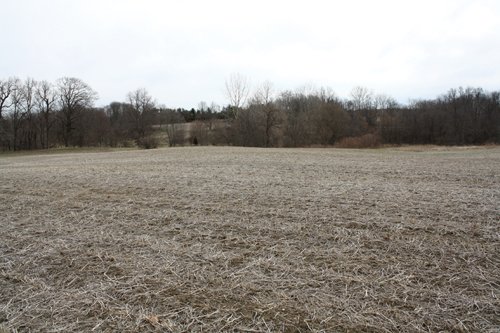 Property photo 17 - 80 Acres Offered in 7 Tracts