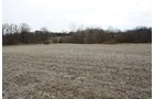 Property photo 17 - 80 Acres Offered in 7 Tracts