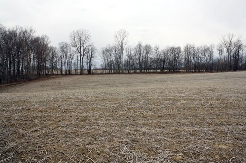 Property photo 20 - 80 Acres Offered in 7 Tracts