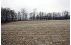 Property photo 20 - 80 Acres Offered in 7 Tracts