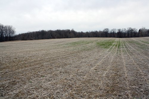 Property photo 12 - 80 Acres Offered in 7 Tracts