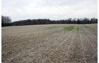 Property photo 12 - 80 Acres Offered in 7 Tracts