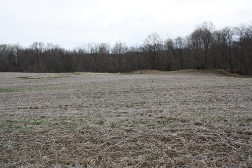 Property photo 22 - 80 Acres Offered in 7 Tracts