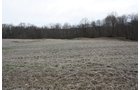 Property photo 22 - 80 Acres Offered in 7 Tracts