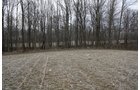 Property photo 24 - 80 Acres Offered in 7 Tracts