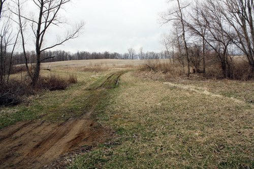 Property photo 7 - 80 Acres Offered in 7 Tracts