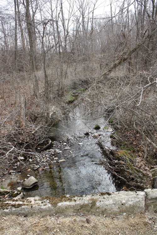 Property photo 19 - 80 Acres Offered in 7 Tracts