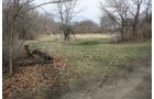 Property photo 18 - 80 Acres Offered in 7 Tracts