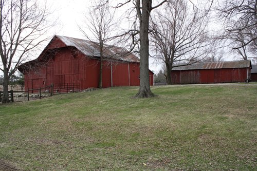 Property photo 6 - 80 Acres Offered in 7 Tracts