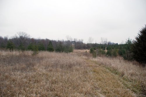 Property photo 92 - 37 Acres Offered in 4 Tracts