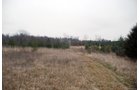 Property photo 92 - 37 Acres Offered in 4 Tracts