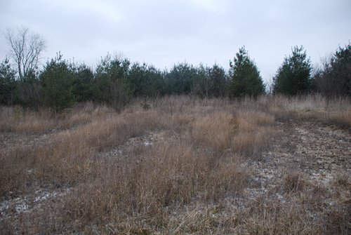 Property photo 23 - 37 Acres Offered in 4 Tracts