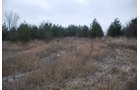 Property photo 23 - 37 Acres Offered in 4 Tracts