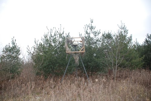 Property photo 68 - 37 Acres Offered in 4 Tracts